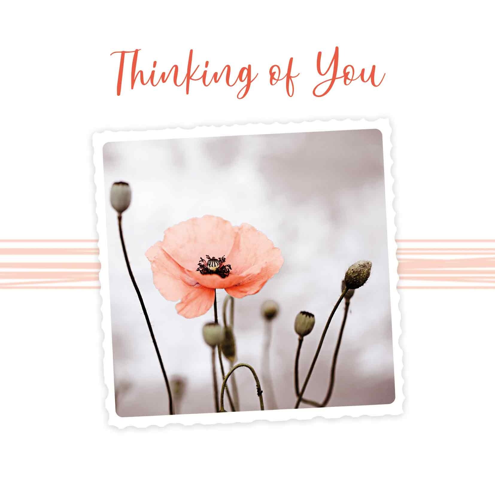 Op deze wenskaart staat een oranje bloem met de tekst: "Thinking of you".