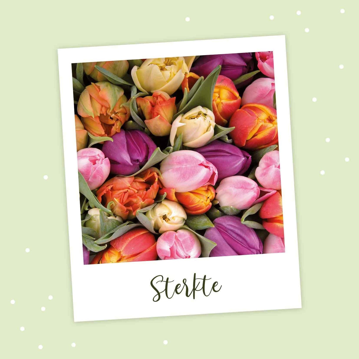 Op deze wenskaart staan tulpen in diverse kleuren met daaronder de tekst: "Sterkte".