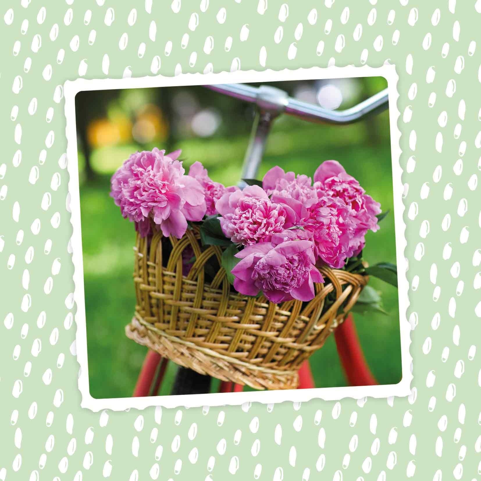 Op deze wenskaart staat een fiets met roze bloemen in het mandje. 