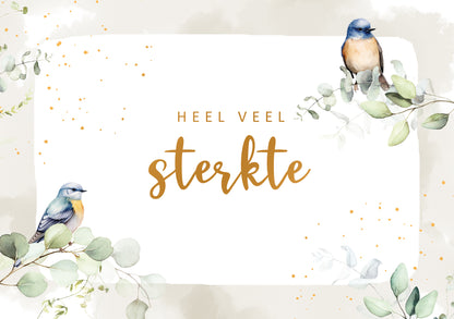 Heel veel sterkte