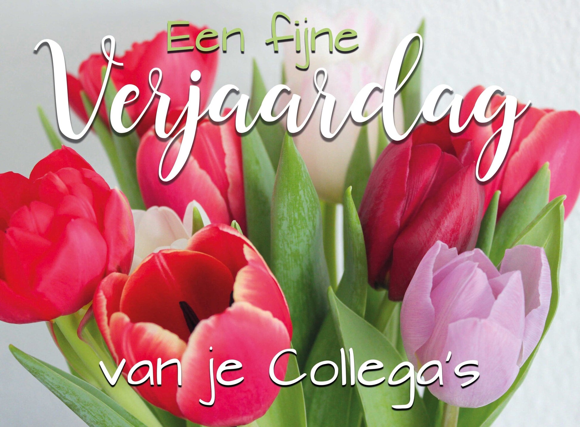 Op deze wenskaart staan tulpen in de kleuren rood, wit en paars met de tekst: "Een fijne verjaardag van je collega's".