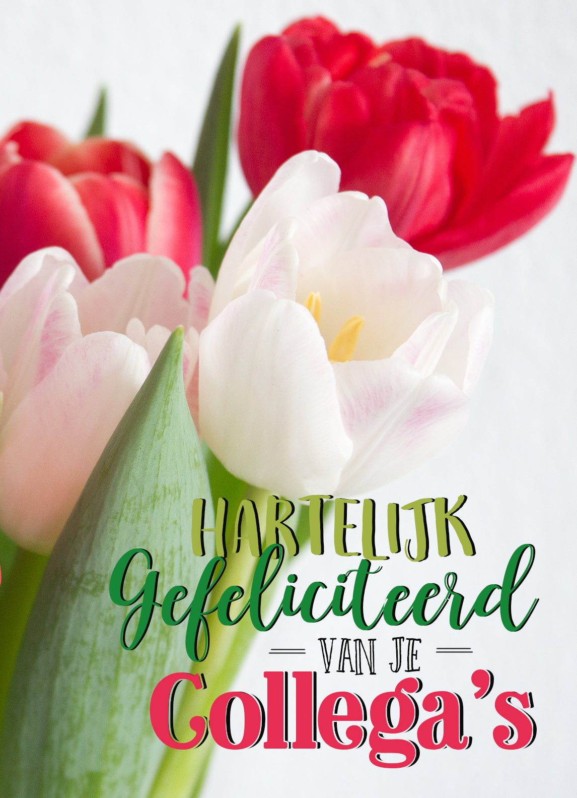 Op deze wenskaart staan tulpen in de kleuren rood en wit met de tekst: "Hartelijk gefeliciteerd van je collega's".