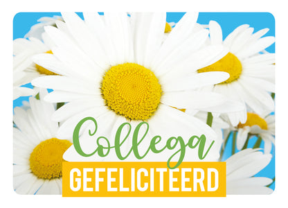 Op deze wenskaart staan madeliefjes met de tekst: "Collega gefeliciteerd".