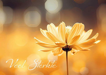 Op deze wenskaart staat een gele bloem met daarnaast de tekst: "Veel sterkte".