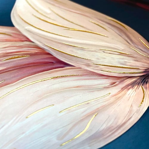 XL - Van harte beterschap